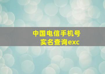 中国电信手机号实名查询exc