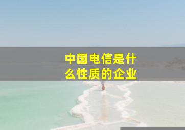 中国电信是什么性质的企业