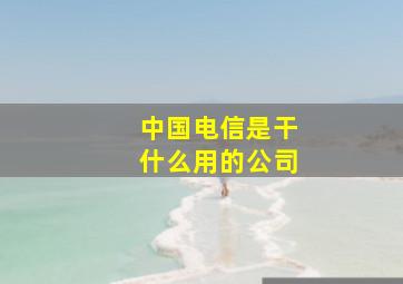 中国电信是干什么用的公司