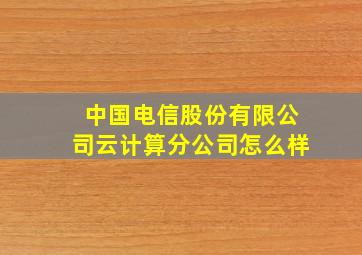 中国电信股份有限公司云计算分公司怎么样