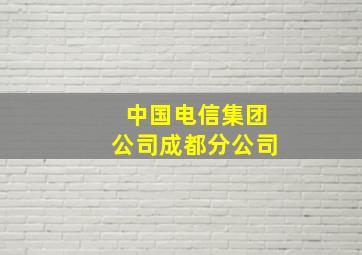 中国电信集团公司成都分公司