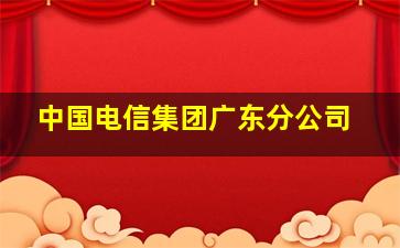 中国电信集团广东分公司