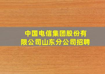 中国电信集团股份有限公司山东分公司招聘