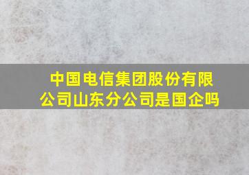 中国电信集团股份有限公司山东分公司是国企吗