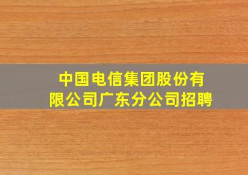 中国电信集团股份有限公司广东分公司招聘