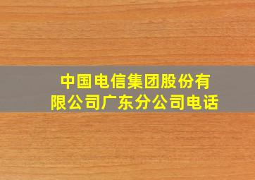 中国电信集团股份有限公司广东分公司电话