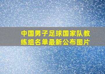 中国男子足球国家队教练组名单最新公布图片