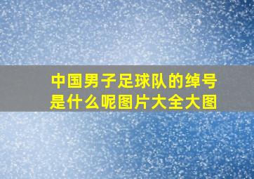 中国男子足球队的绰号是什么呢图片大全大图