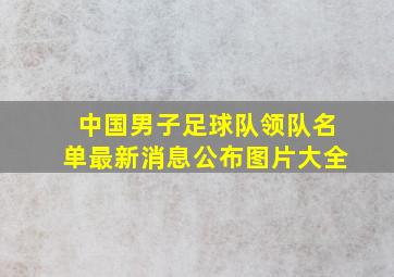 中国男子足球队领队名单最新消息公布图片大全