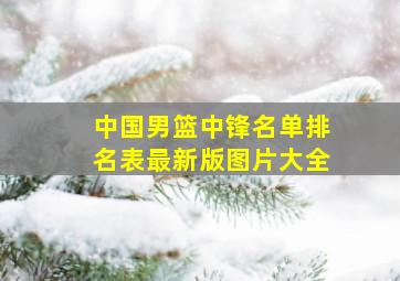 中国男篮中锋名单排名表最新版图片大全