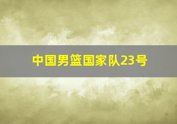 中国男篮国家队23号