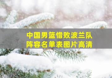 中国男篮惜败波兰队阵容名单表图片高清