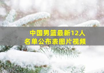 中国男篮最新12人名单公布表图片视频