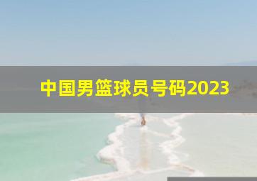 中国男篮球员号码2023