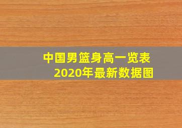 中国男篮身高一览表2020年最新数据图