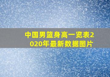 中国男篮身高一览表2020年最新数据图片