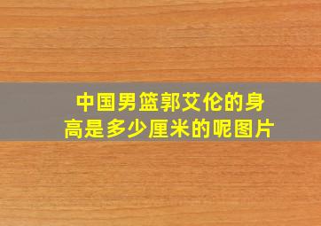 中国男篮郭艾伦的身高是多少厘米的呢图片