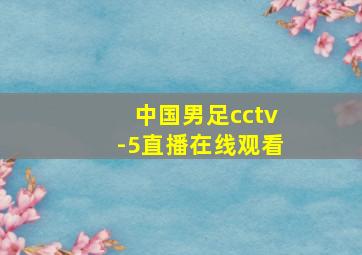 中国男足cctv-5直播在线观看