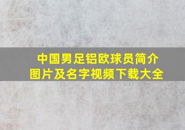 中国男足铝欧球员简介图片及名字视频下载大全