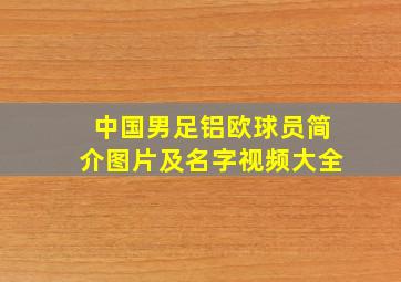 中国男足铝欧球员简介图片及名字视频大全