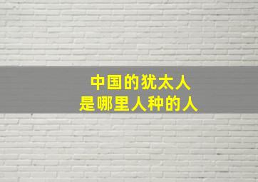 中国的犹太人是哪里人种的人