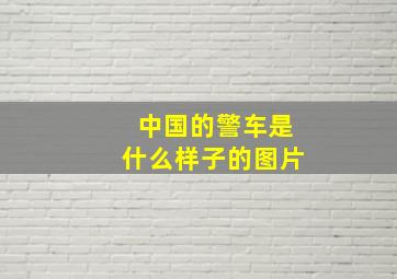 中国的警车是什么样子的图片