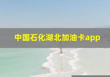 中国石化湖北加油卡app