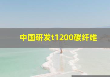 中国研发t1200碳纤维