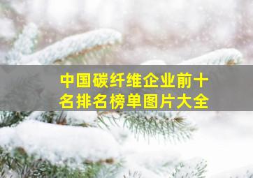 中国碳纤维企业前十名排名榜单图片大全