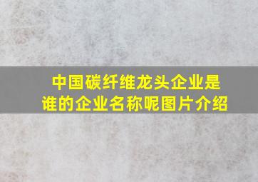 中国碳纤维龙头企业是谁的企业名称呢图片介绍