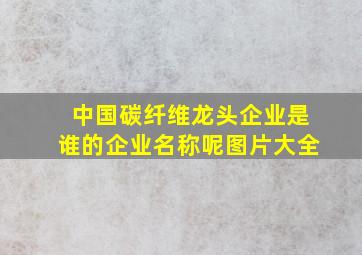 中国碳纤维龙头企业是谁的企业名称呢图片大全