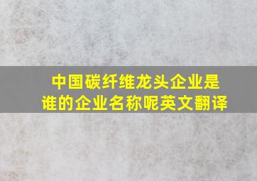 中国碳纤维龙头企业是谁的企业名称呢英文翻译