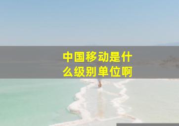 中国移动是什么级别单位啊