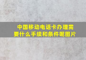 中国移动电话卡办理需要什么手续和条件呢图片