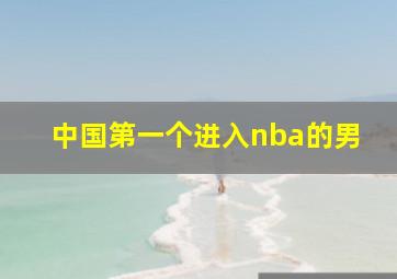 中国第一个进入nba的男