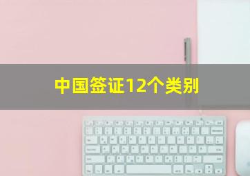 中国签证12个类别