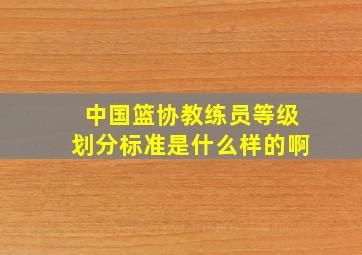 中国篮协教练员等级划分标准是什么样的啊