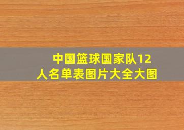 中国篮球国家队12人名单表图片大全大图