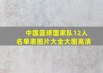 中国篮球国家队12人名单表图片大全大图高清