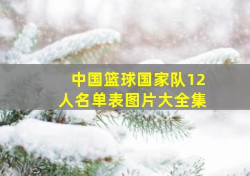 中国篮球国家队12人名单表图片大全集