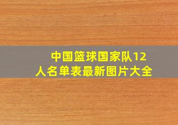 中国篮球国家队12人名单表最新图片大全