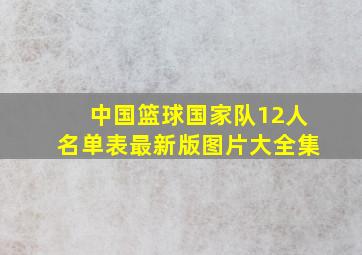 中国篮球国家队12人名单表最新版图片大全集