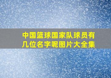 中国篮球国家队球员有几位名字呢图片大全集