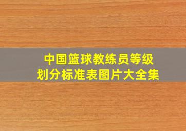 中国篮球教练员等级划分标准表图片大全集