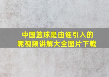 中国篮球是由谁引入的呢视频讲解大全图片下载