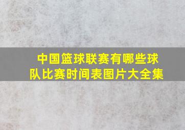 中国篮球联赛有哪些球队比赛时间表图片大全集