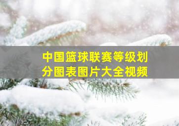 中国篮球联赛等级划分图表图片大全视频