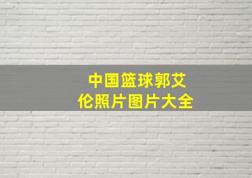 中国篮球郭艾伦照片图片大全