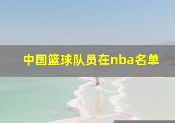 中国篮球队员在nba名单