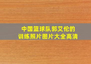 中国篮球队郭艾伦的训练照片图片大全高清